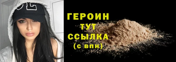 индика Гусь-Хрустальный