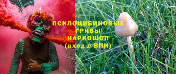 метамфетамин Гусев