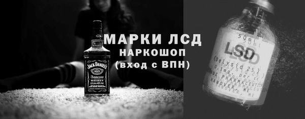 индика Гусь-Хрустальный