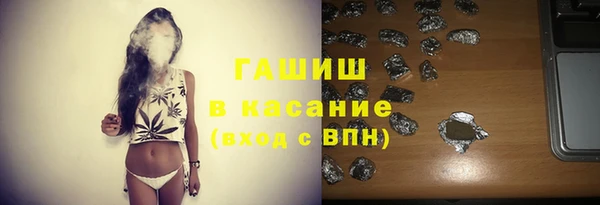 индика Гусь-Хрустальный