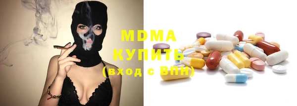 индика Гусь-Хрустальный