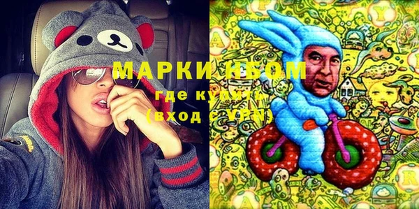 индика Гусь-Хрустальный