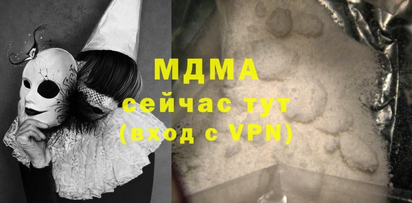 индика Гусь-Хрустальный