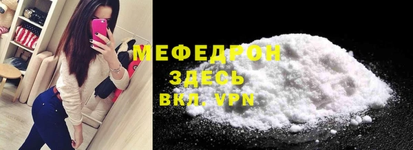 индика Гусь-Хрустальный