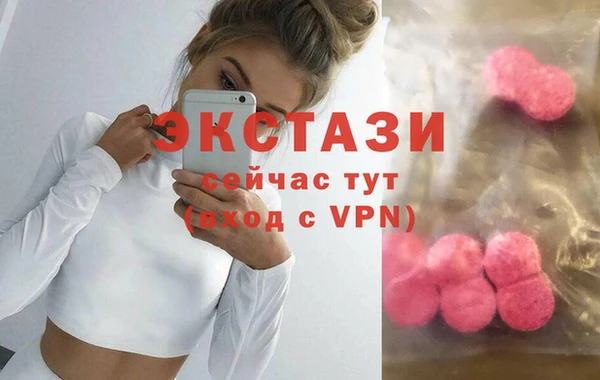 индика Гусь-Хрустальный
