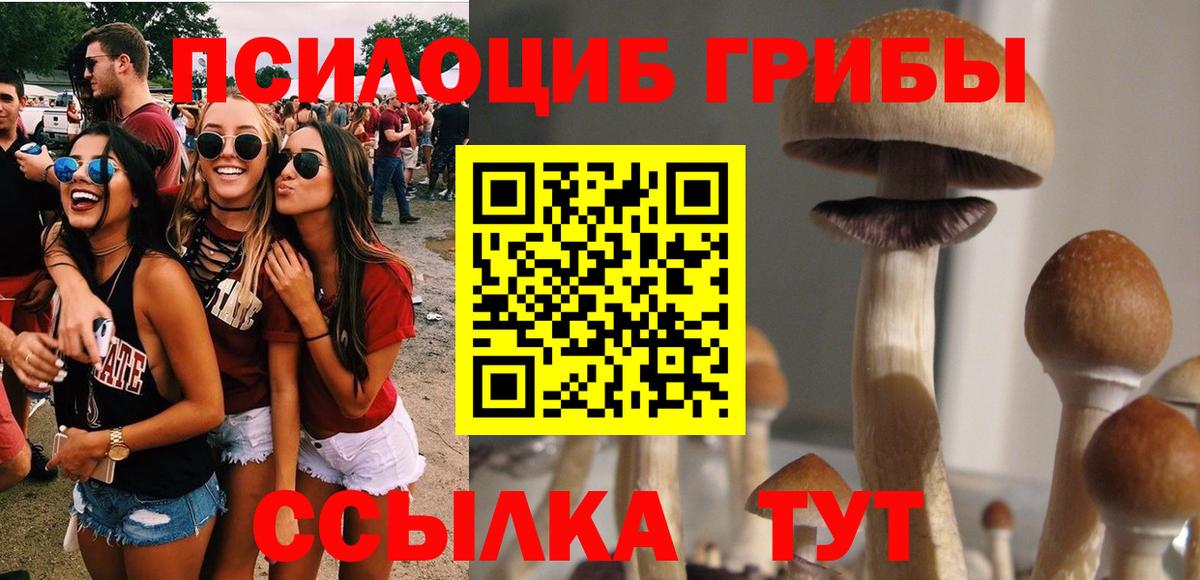 Галлюциногенные грибы Magic Shrooms  Галлюциногенные грибы Magic Shrooms  Вход с VPN  Дивногорск 