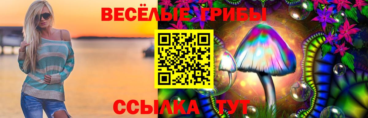 Галлюциногенные грибы Psilocybine cubensis Дивногорск